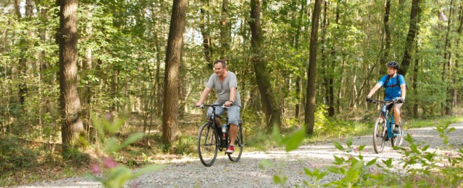 Zwei Personen unternehmen eine Fahrradtour durch den Loher Forst.