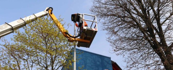 Markus Henken vom Bauhof der Gemeinde Barßel bringt die neuen Leuchten an. Aufnahme: Wlodarczyk/Gemeinde Barßel